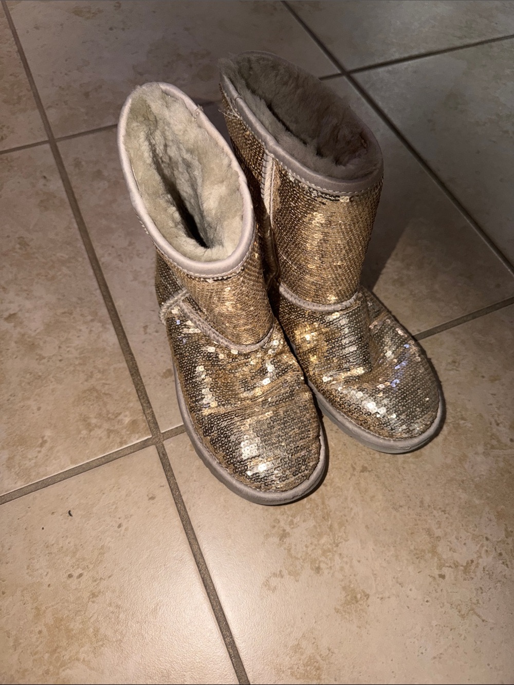UGG Women's Silver Boots